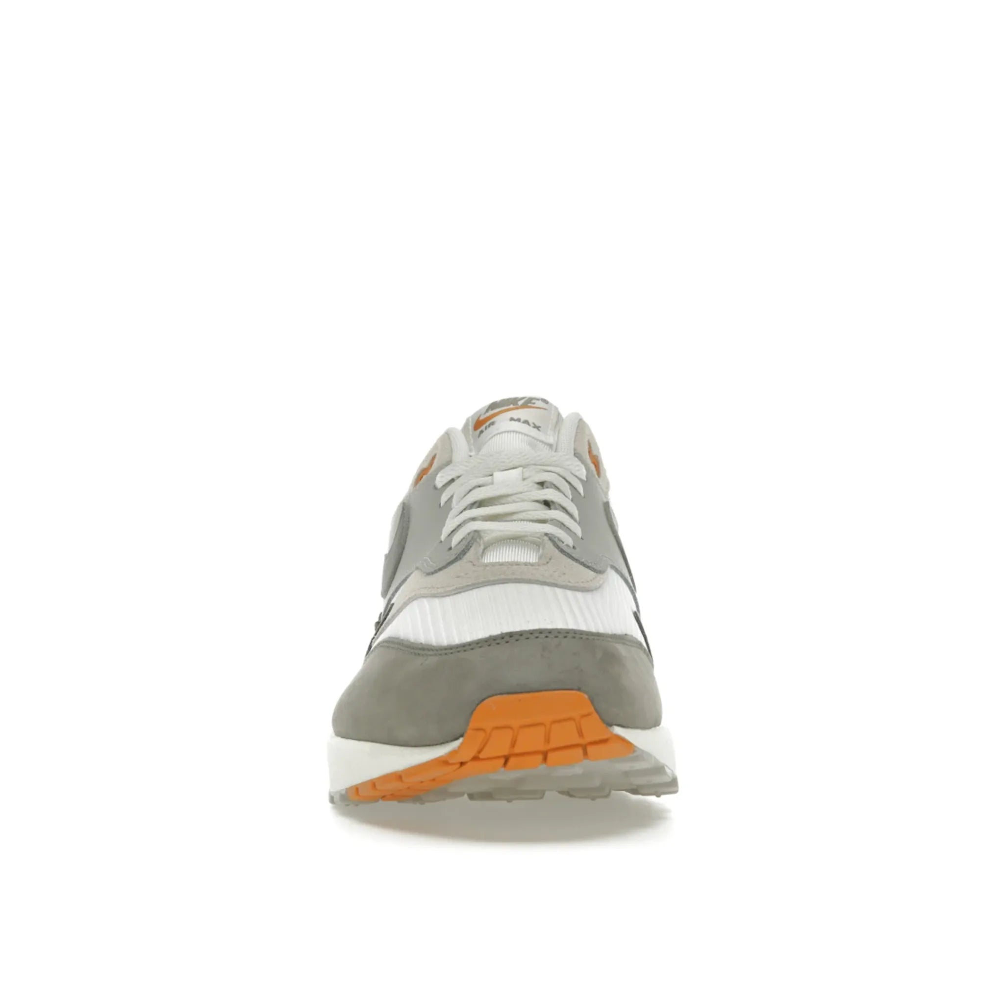 Nike Air Max 1 Light Iron Ore Flat Pewter