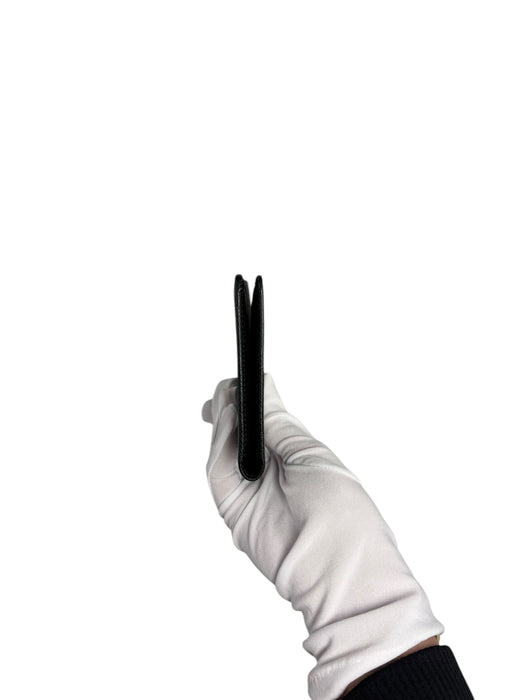 Louis Vuitton Taiga Leather Brazza Long Wallet