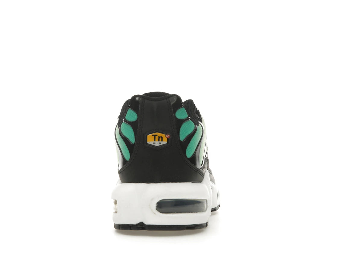 Nike Air Max Plus Rainbow (Women's)