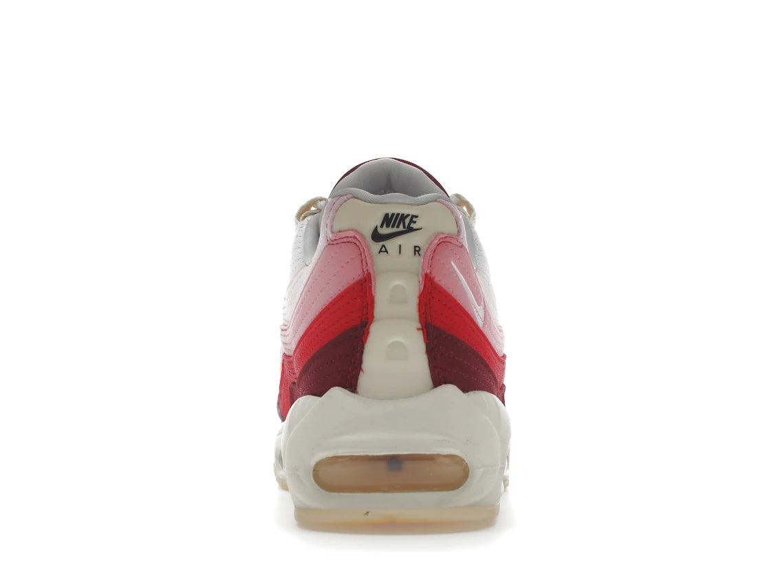 Nike Air Max 95 Anatomy of Air GID
